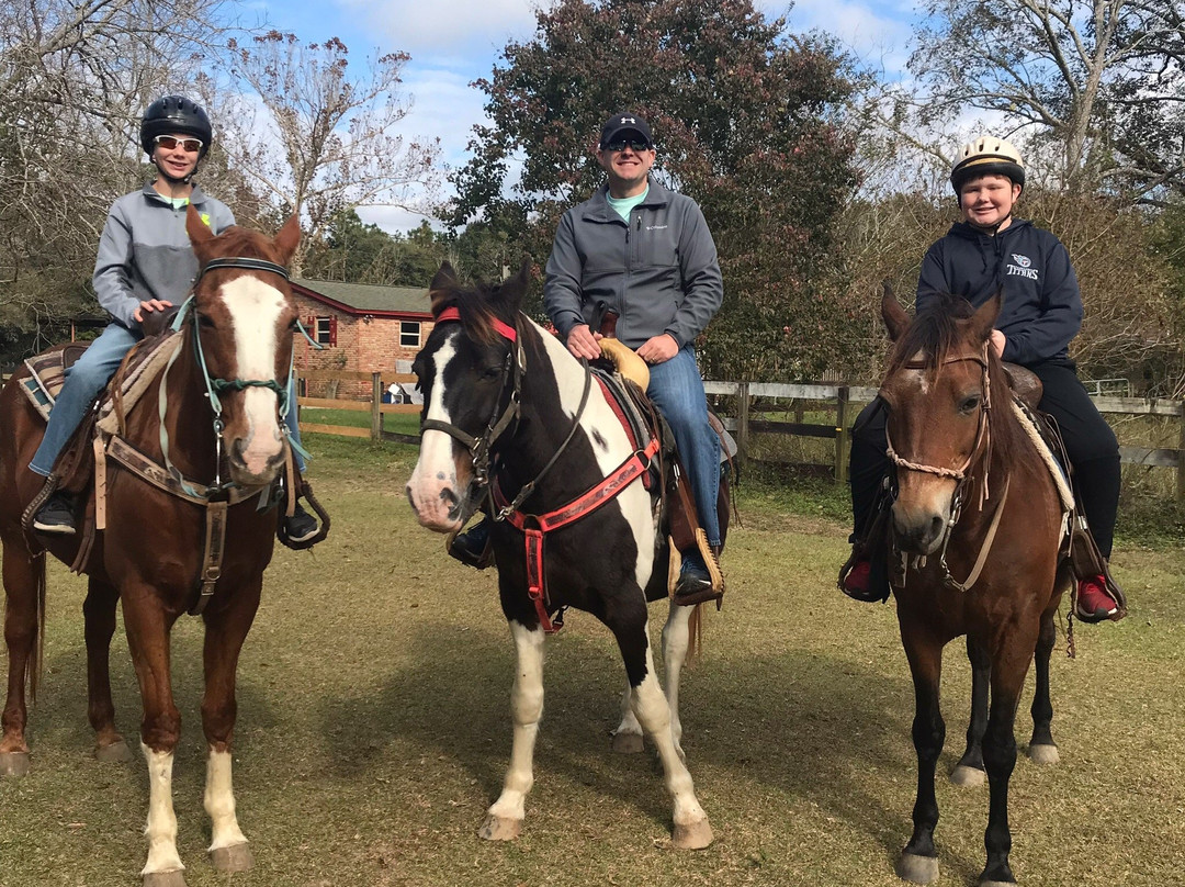 Horse Rides of Pensacola景点图片