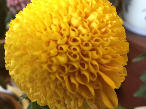 钱王祠-杭州市必去景点