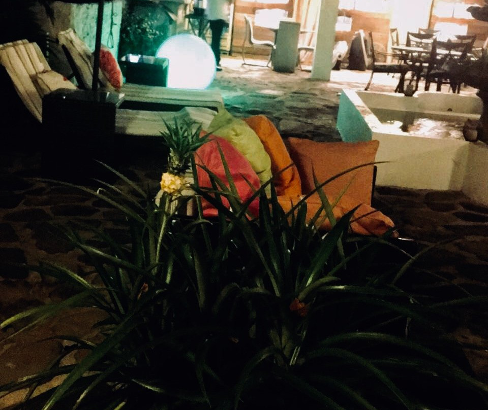 Perla Real Inn主图