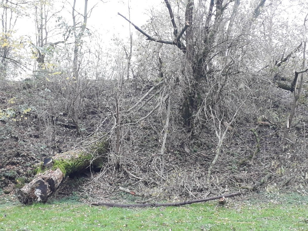 Parco della Media Valle del Lambro景点图片