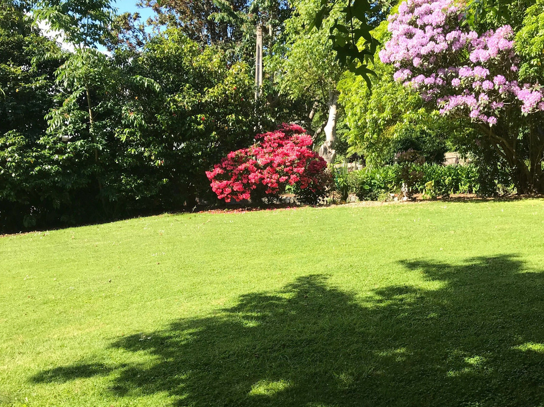 Anndion Lodge Motel & Function Centre主图