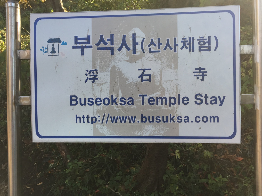 Buseoksa Temple-瑞山市必去景点