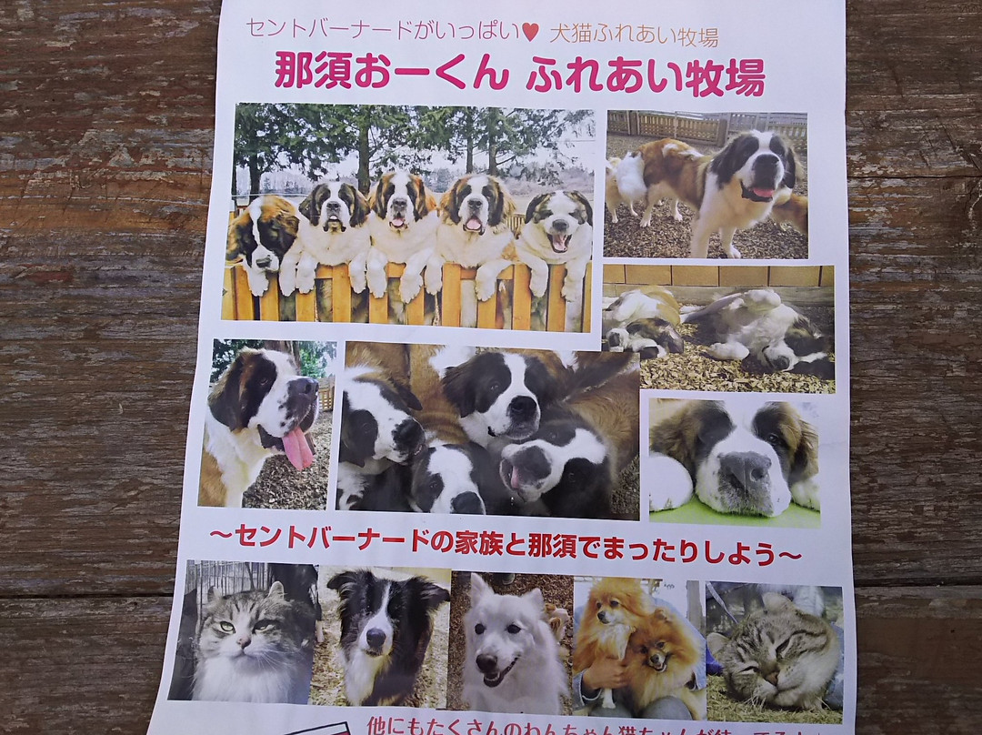 Nasu Ohkun Fureai Ranch-那须町必去景点