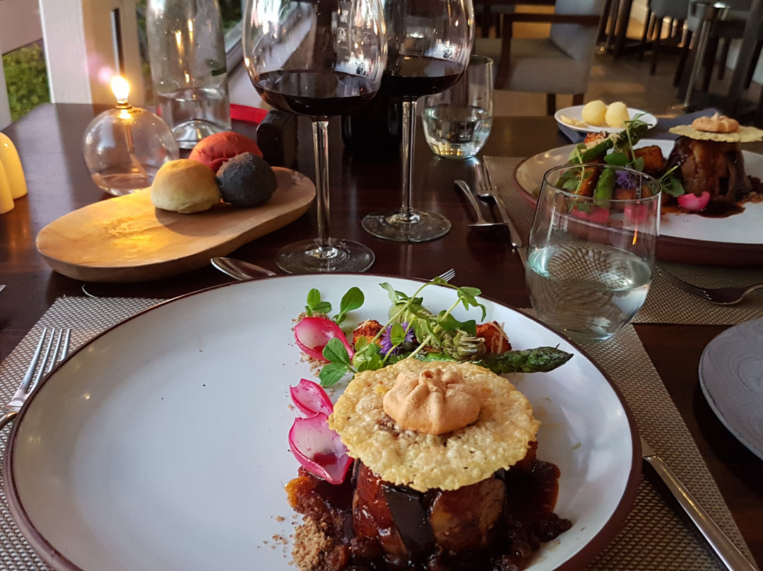 Freedom of the Cape Tours-开普敦中心区必去景点