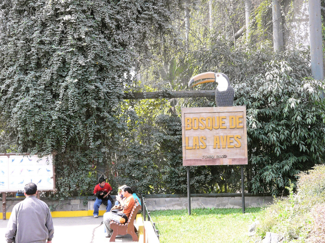 Parque Zoologico Huachipa景点图片