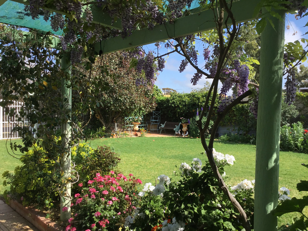 Merredin Bed & Breakfast主图