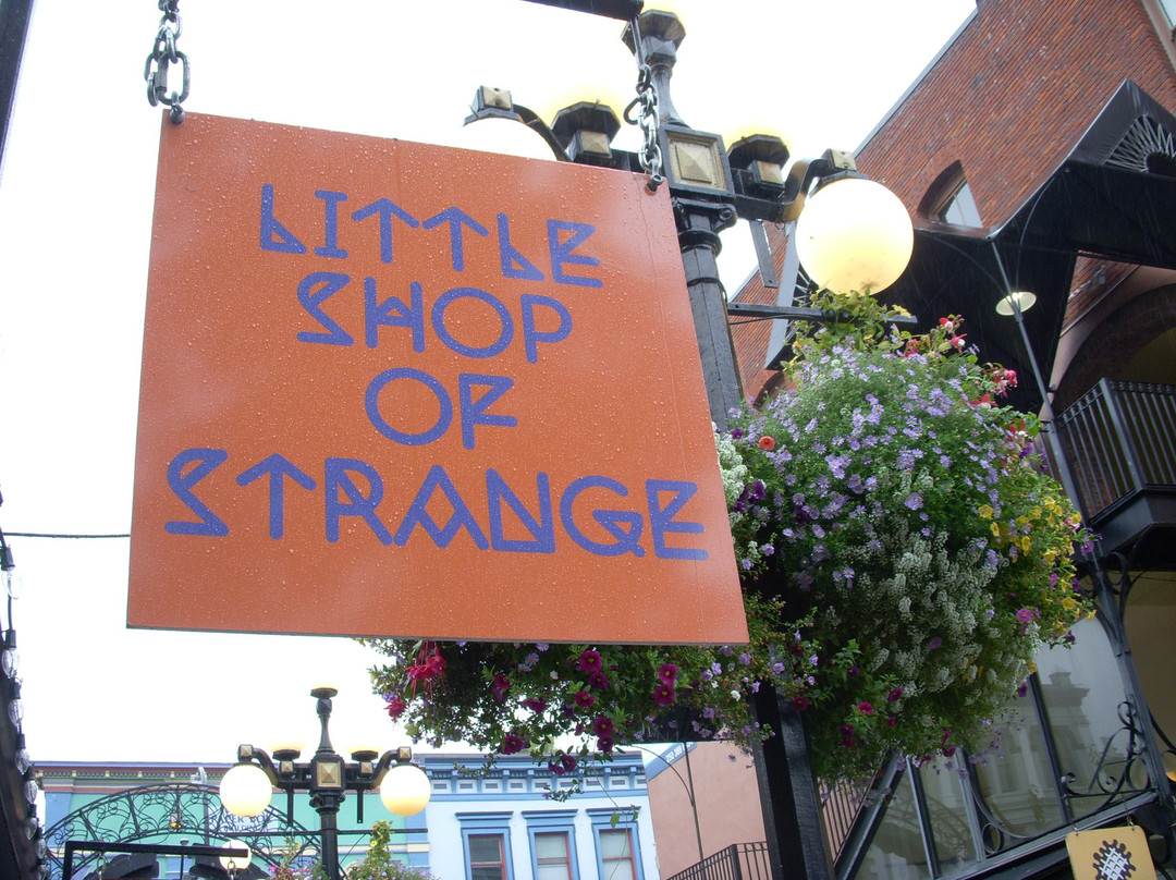 Little Shop of Strange景点图片