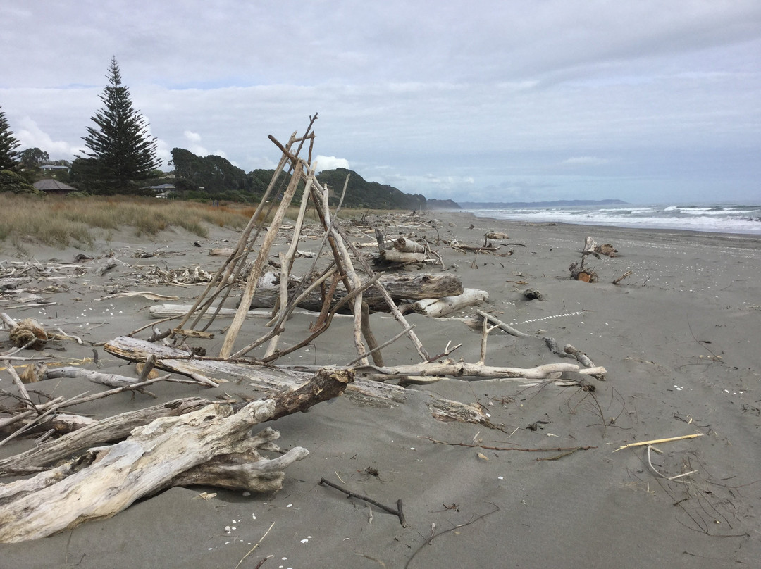 Waiotahe Beach景点图片