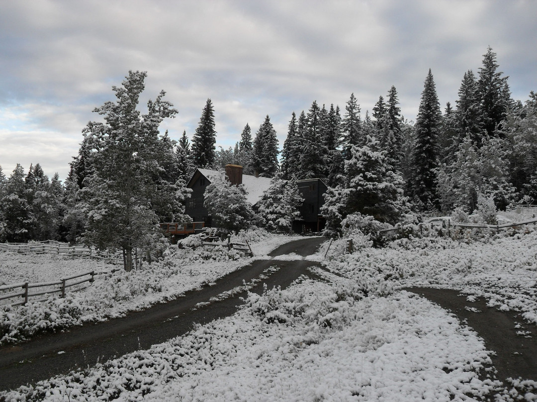 Juniper Trails Bed and Breakfast主图