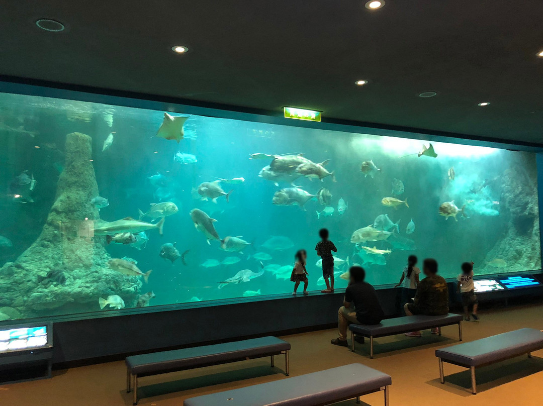 Wakayama Prefectural Museum of Natural History-海南市必去景点