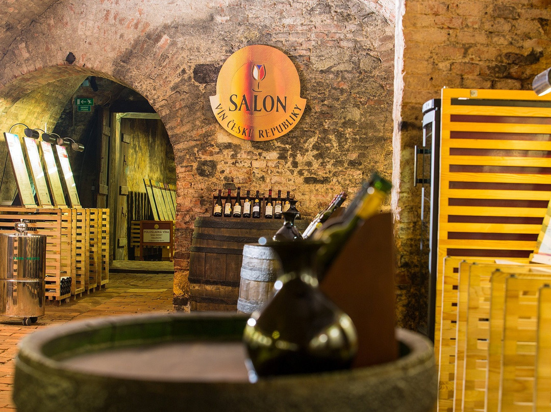 National Wine Salon (Národní salon vín)景点图片
