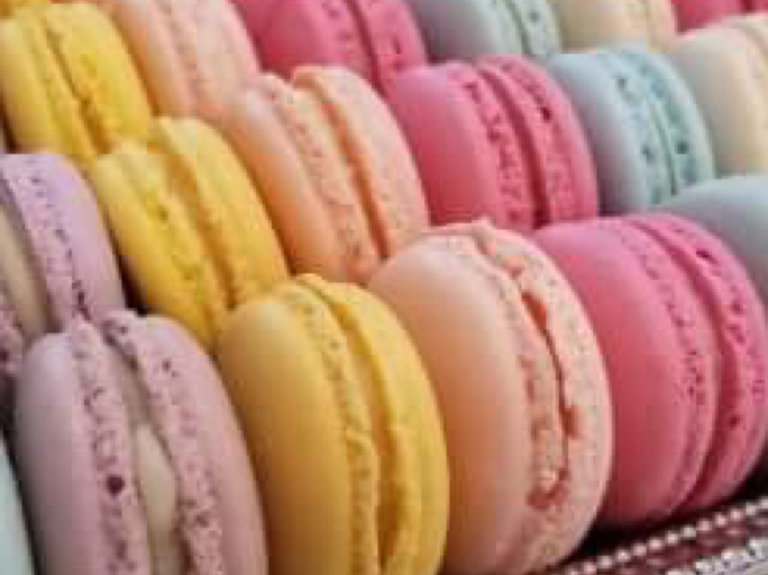 Art meets Chocolate-吉布森斯必去景点