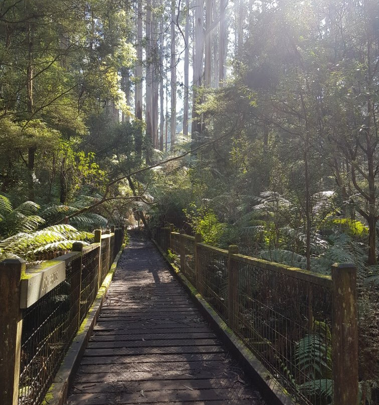 希尔布鲁克旅游景点-Sherbrooke Picnic Ground