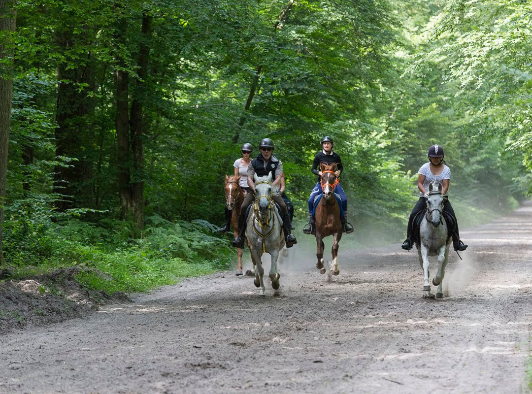 Écuries ALF-Chamant必去景点