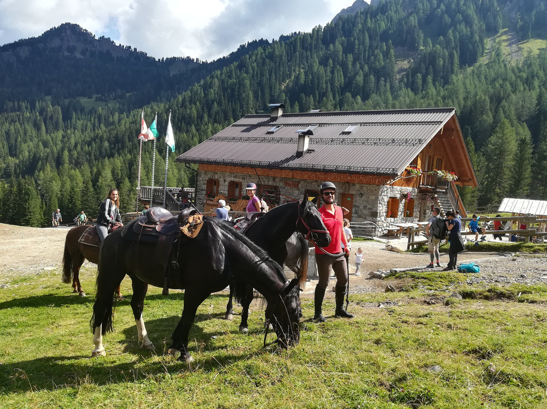 Horse Ranch Highland Cattle景点图片