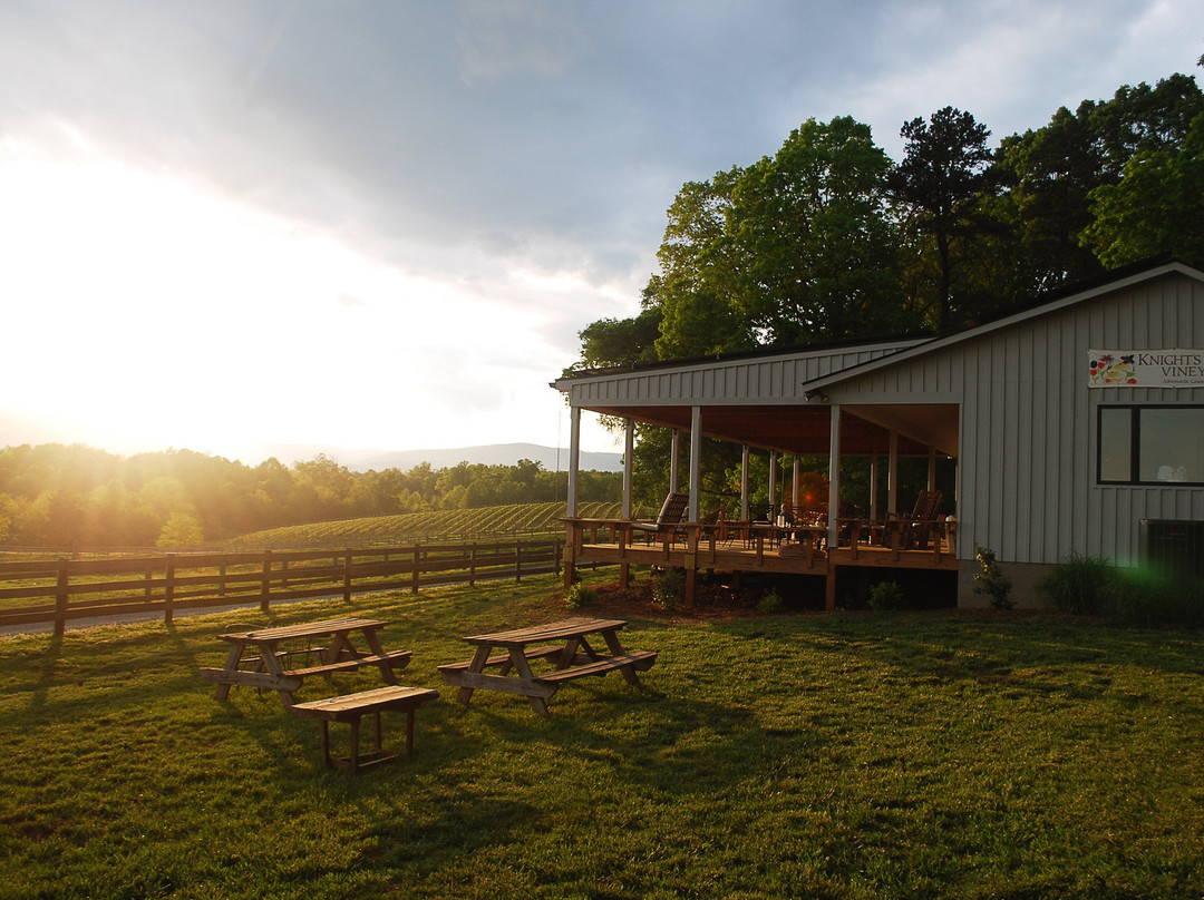 Knight's Gambit Vineyard-夏洛茨维尔必去景点