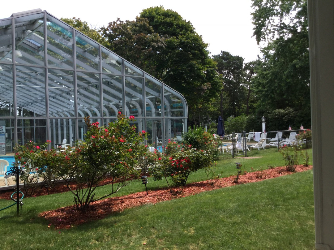 Bluebird Dennisport主图