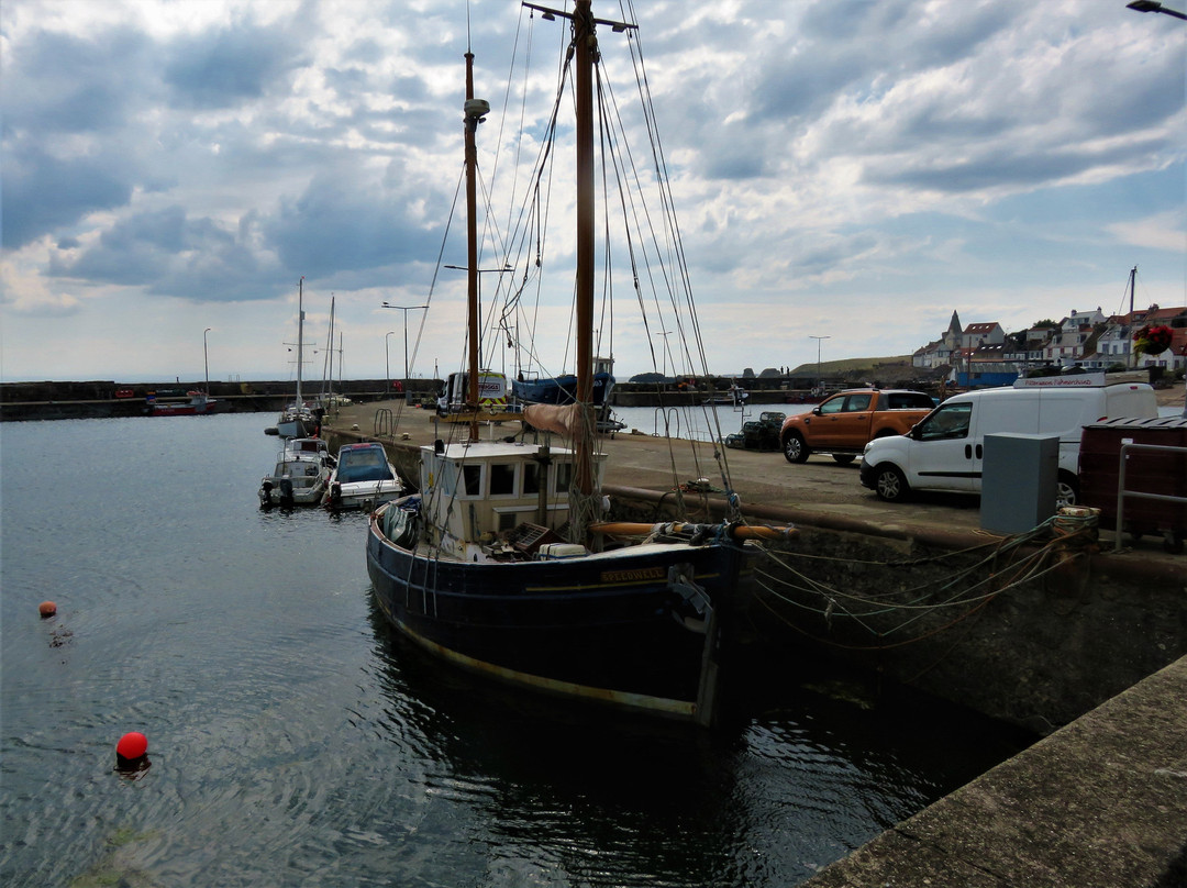 St Monans Harbour-St Monans必去景点