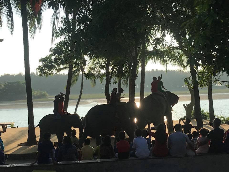 Elephant Show景点图片