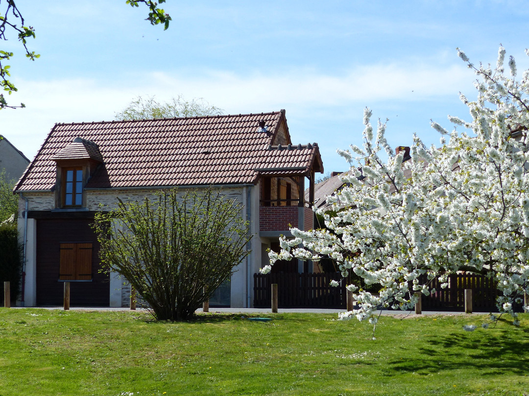 Au Comptoir Des Colettes主图