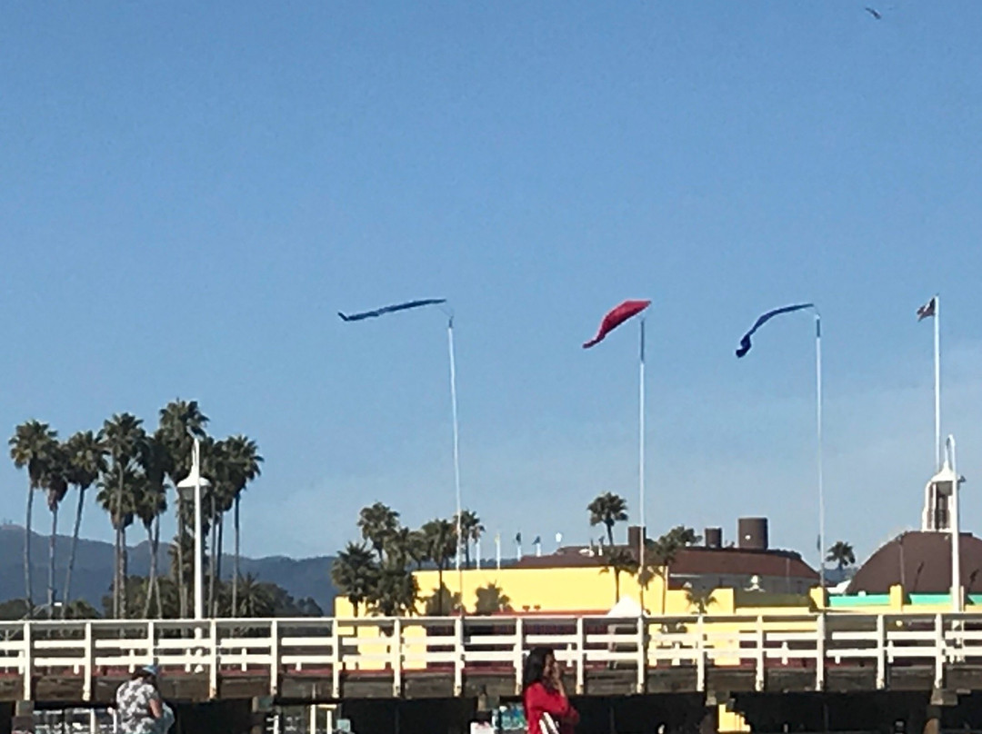 Cowell's Beach-圣克鲁斯必去景点