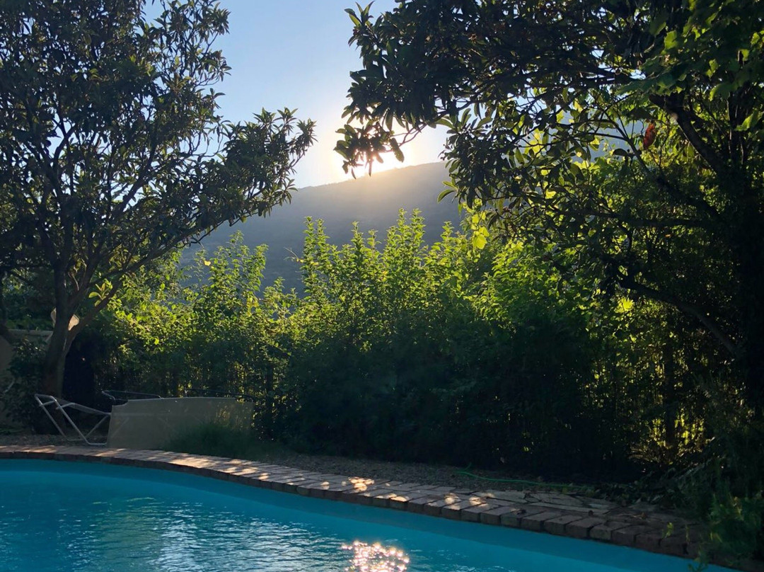 林中小屋乡村旅馆主图