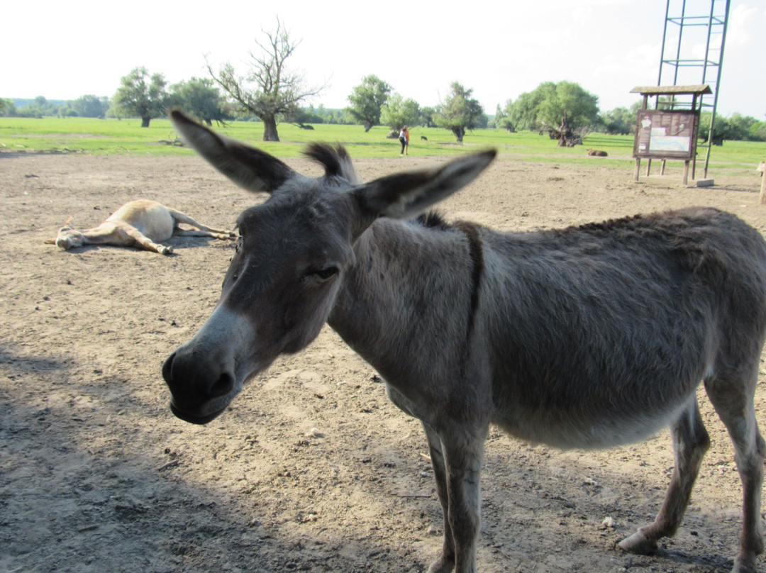 Island of Krcedin-Krcedin必去景点