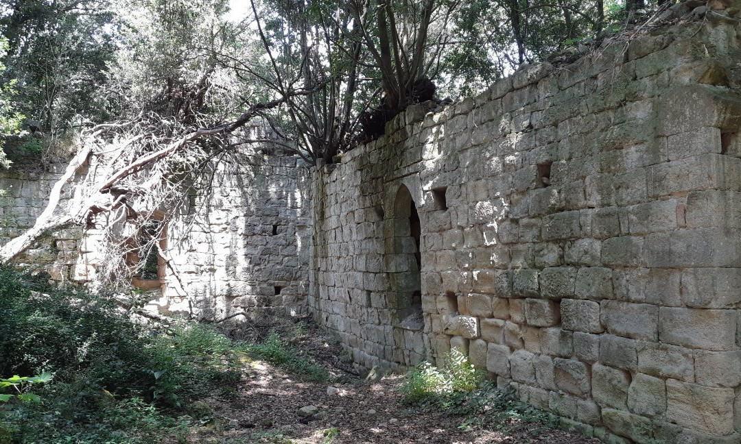 Crypt of the Abbey of Saint Salvatore景点图片