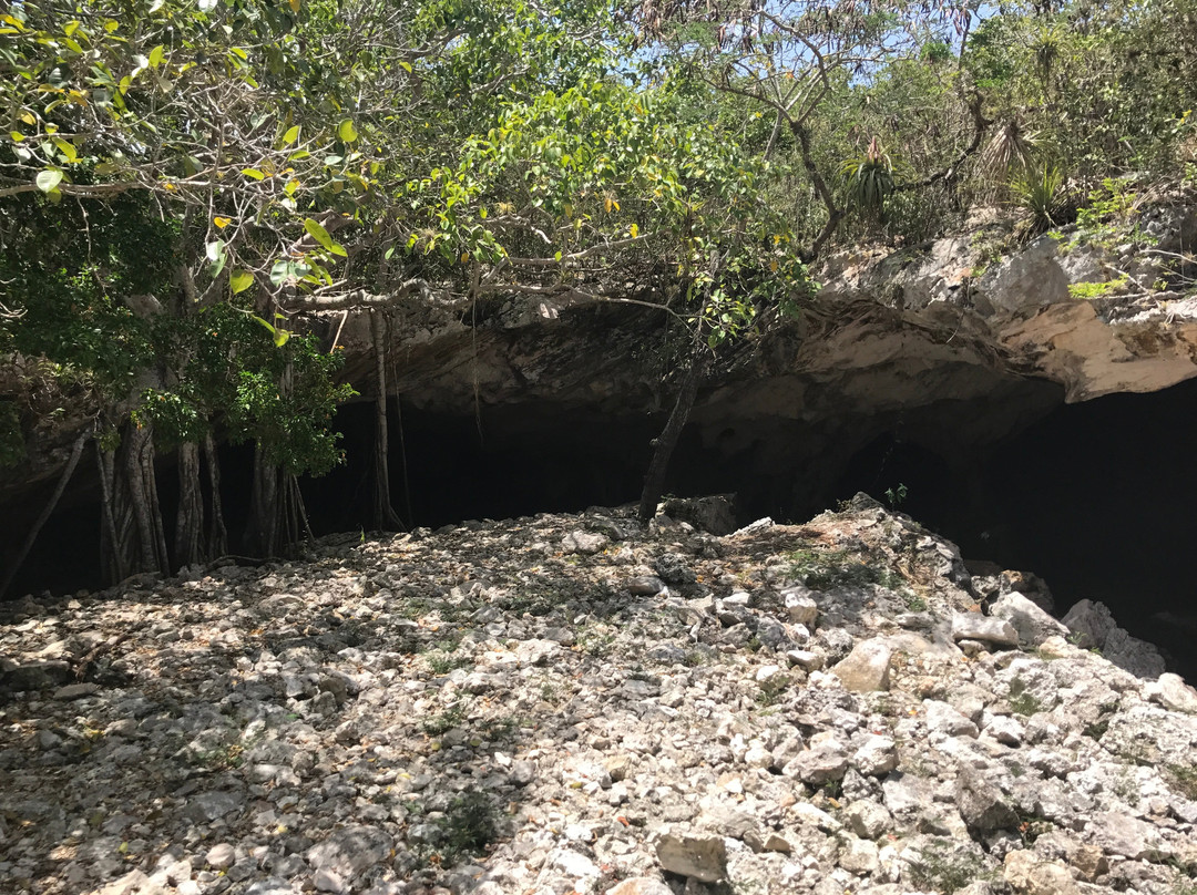 Indigenous Tours and Rentals-Kew必去景点