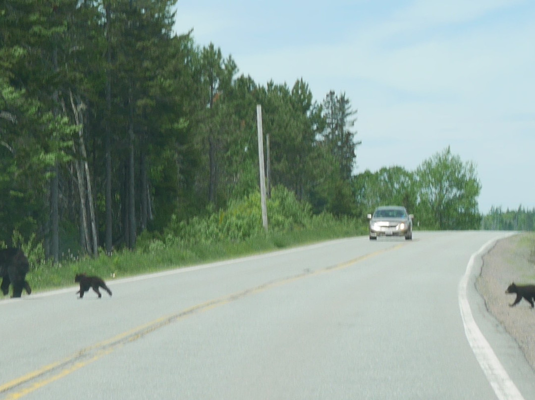 Glooscap Trail景点图片