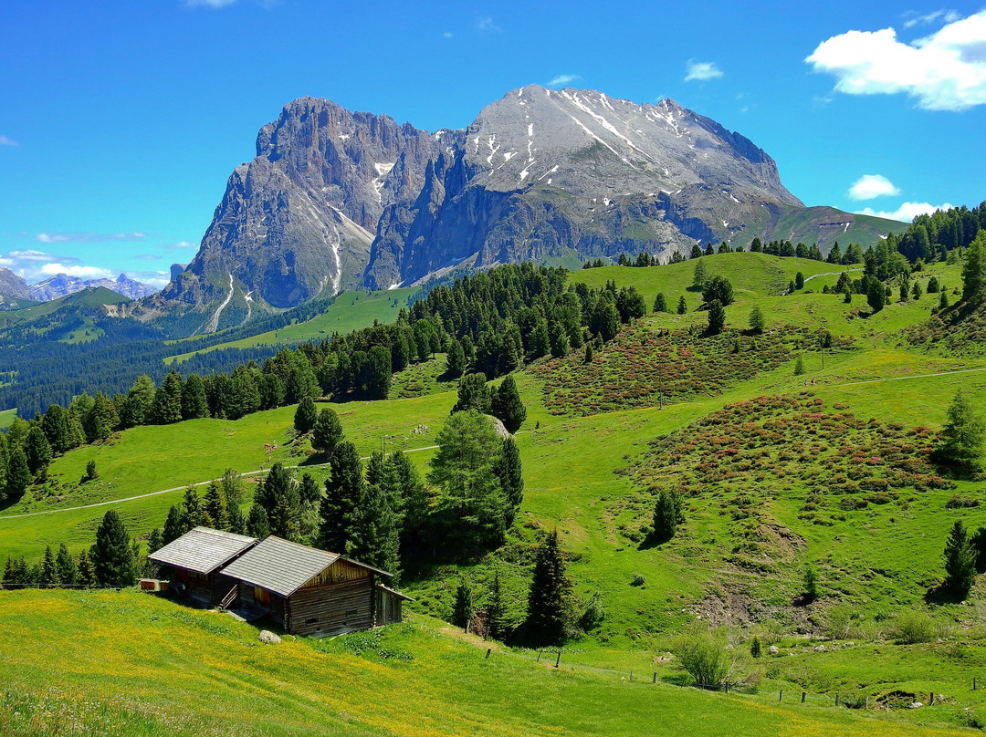 Seiser Alm - Alpe di Siusi景点图片