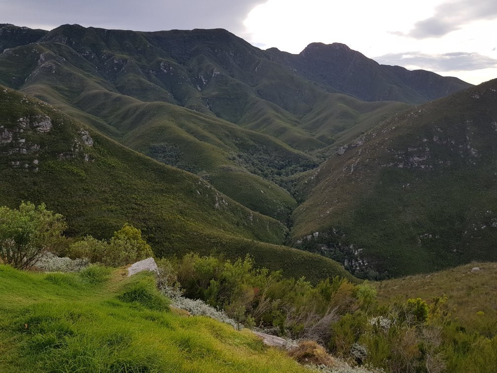 Cape Town Experience Day Tours-开普敦中心区必去景点