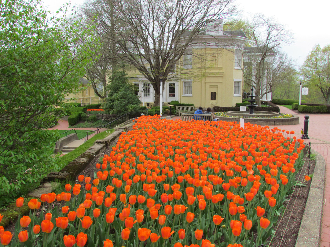Oglebay Mansion Museum景点图片