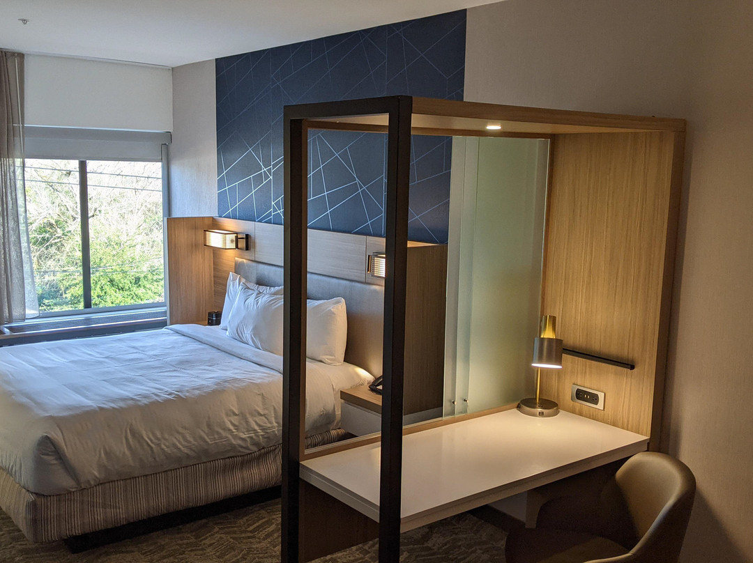 SpringHill Suites by Marriott Cheraw主图