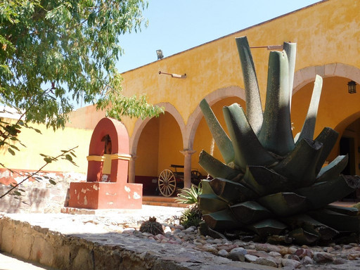 Casa Hidalgo. Museo Francia Chiquita-San Felipe必去景点