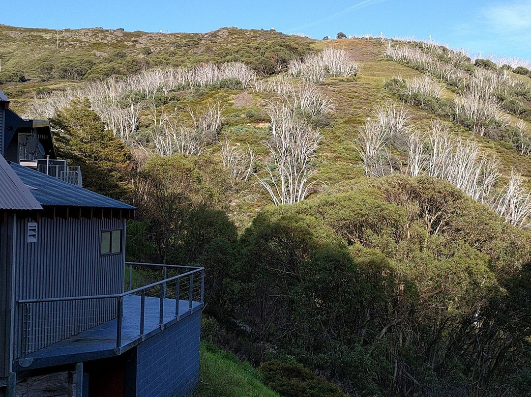 Falls Creek Falls-Carson必去景点