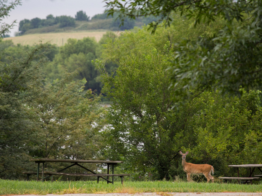 Eisenhower State Park-Osage City必去景点