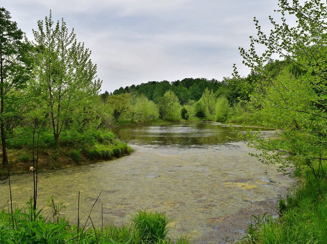 Brumley Forest Nature Preserve-教堂山必去景点