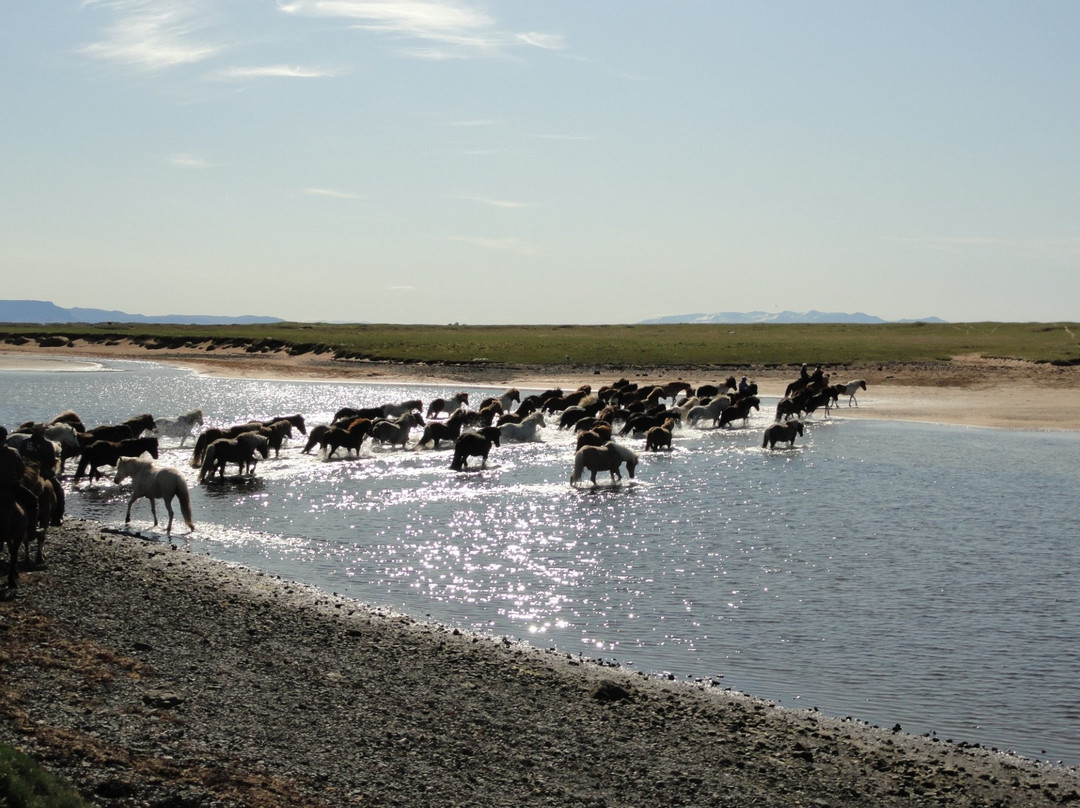 Stori Kalfalaekur-博尔加内斯必去景点