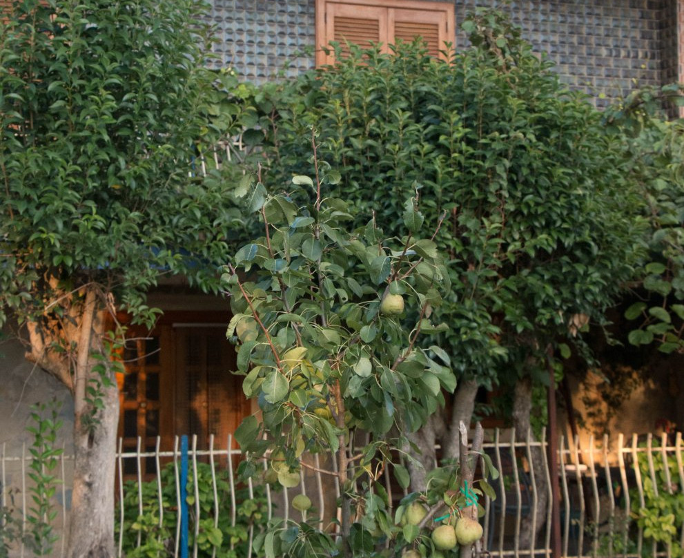 Agriturismo La Fonte主图