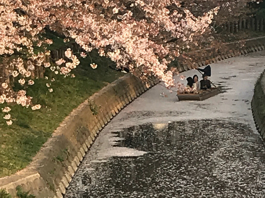 Matsumuraya Ryokan主图