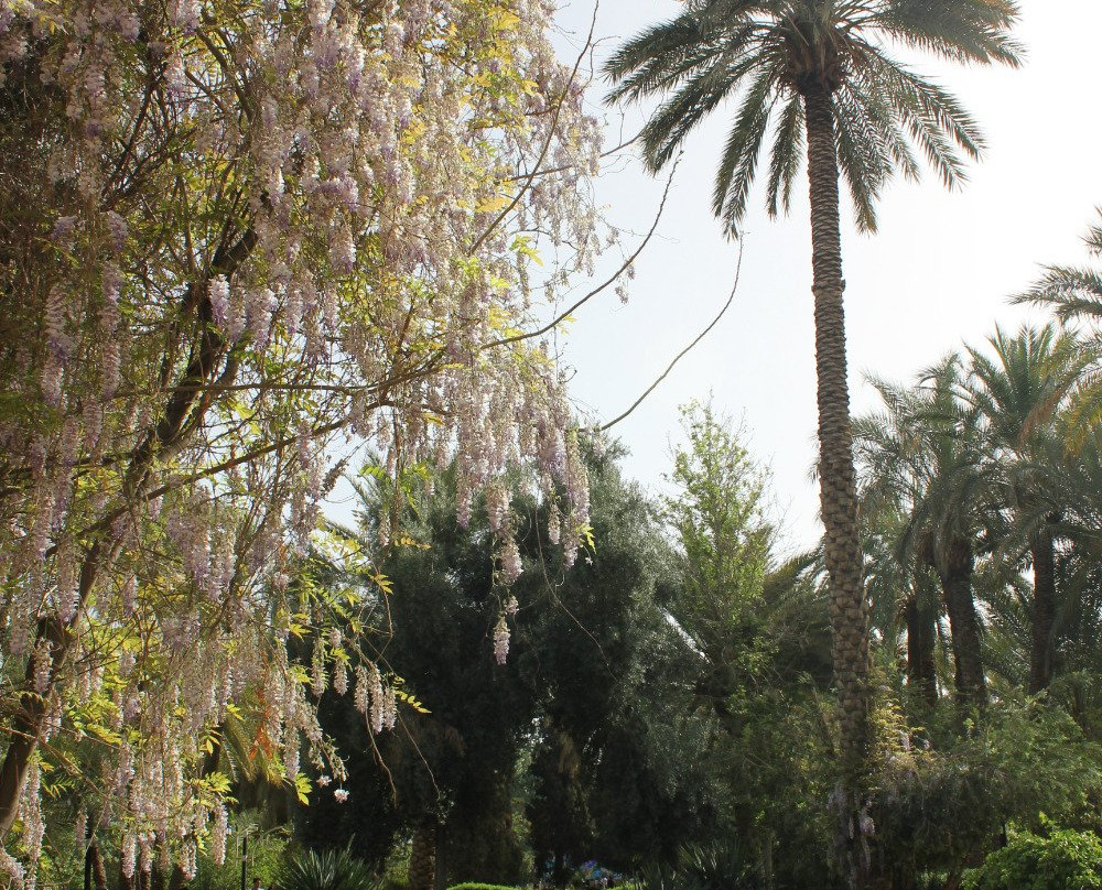 Golshan Garden باغ گلشن-Tabas必去景点