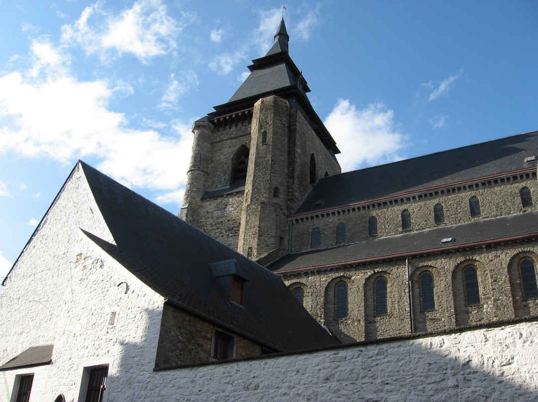 Collegiale Saint-Vincent de Soignies景点图片