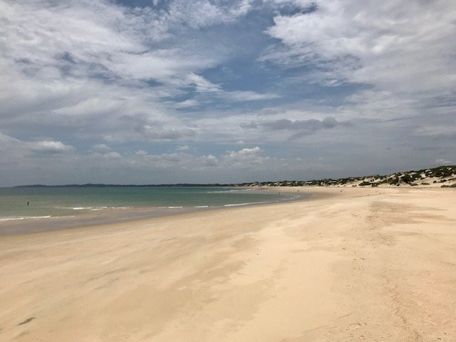 Banana House & Wellness Centre主图