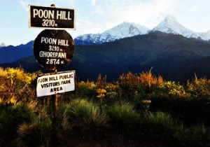Himalayan Summit Treks And Expedition景点图片