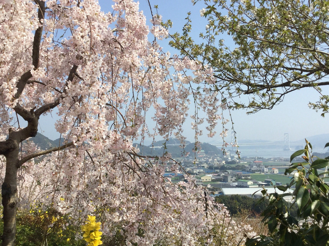 Hanamiyama Shin No Tegamikan-鸣门市必去景点