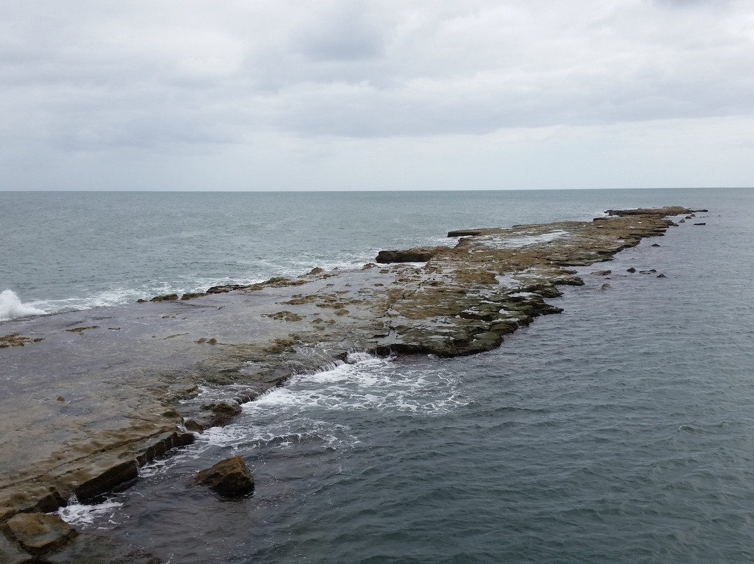 Port Noarlunga Reef景点图片