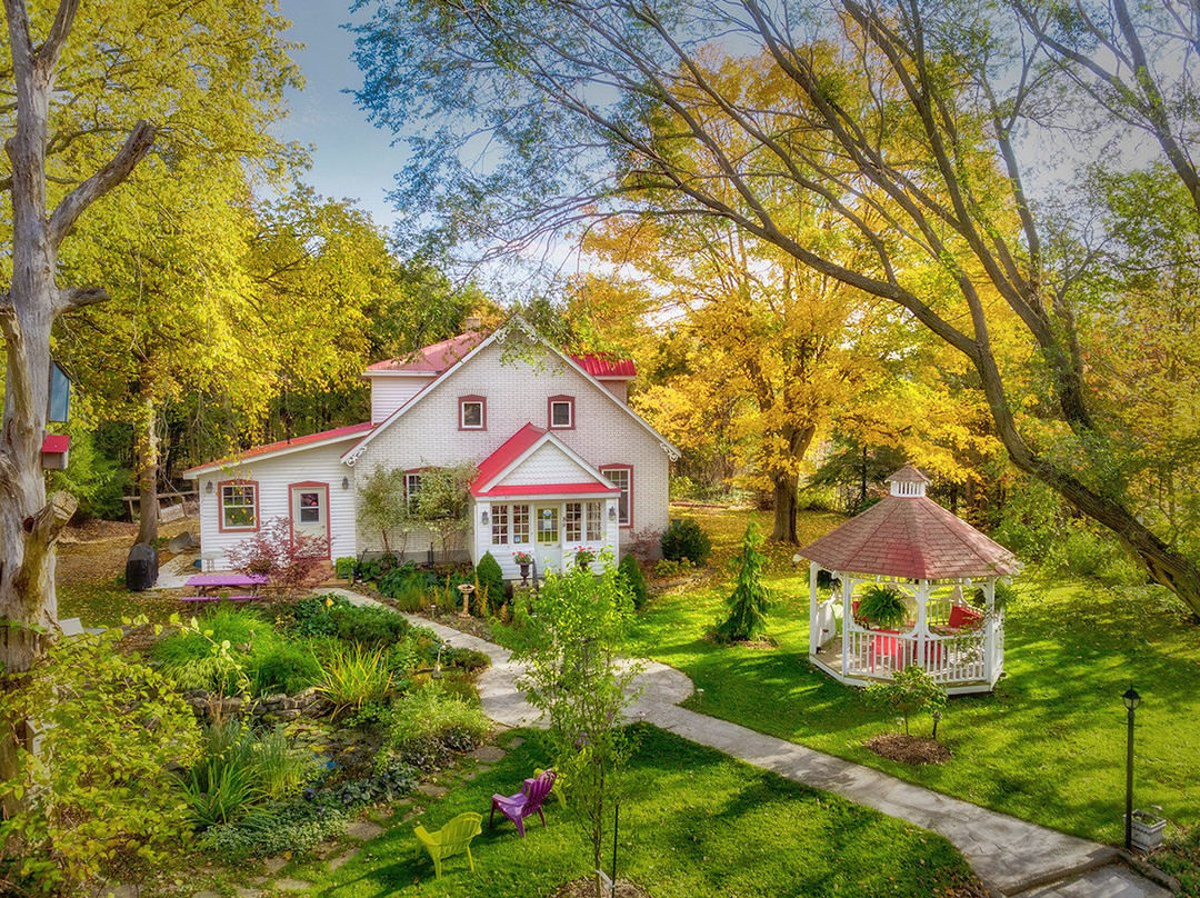 Lionheart Guest House主图