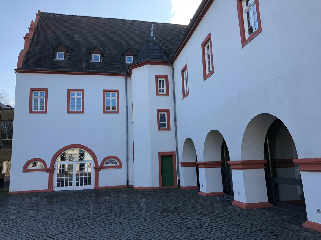 Schloss Heusenstamm景点图片