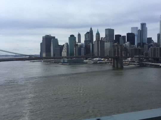 Small Bus Tours NYC-纽约市必去景点